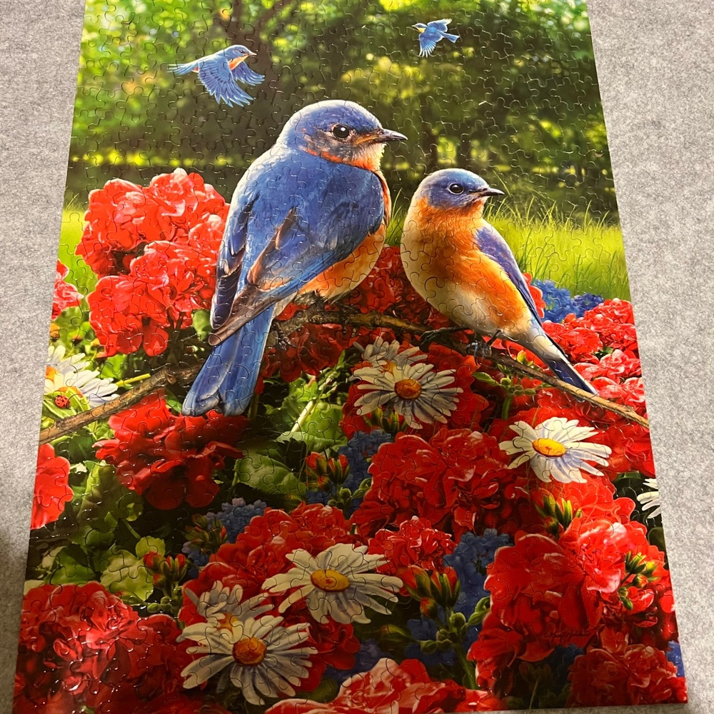 Colorful Bird Puzzle for Pet Lovers